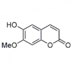 異東莨 菪內酯 HPLC≥98% 10mg/支 分析標準品/對照品