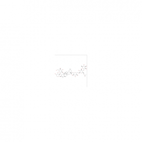 【樂美天】Acanthopanaxoside B   CAS No：915792-03-9  HPLC≥98%  10mg/支  中藥對(duì)照品標(biāo)準(zhǔn)品