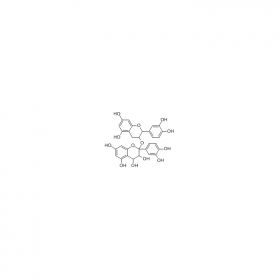 【樂美天】原花青素  CAS No：4852-22-6  UV ≥95%   20mg/支 分析標準品/對照品