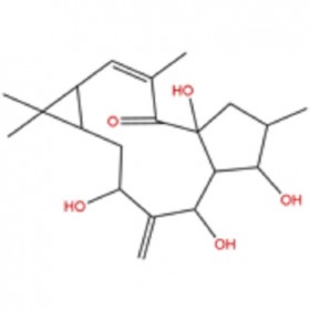 【樂美天】7-羥基千金子二萜醇  34208-98-5   HPLC≥98%   20mg/支標準品/對照品