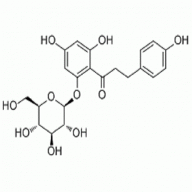 【樂美天】根皮苷  60-81-1  HPLC≥98%   20mg/支分析標準品/對照品