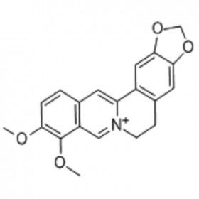 【樂美天】小檗堿  2086-83-1 HPLC≥98%  20mg/支分析標準品/對照品