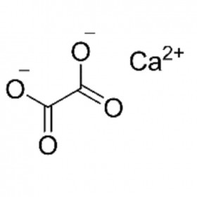 【樂美天】草酸鈣 563-72-4	HPLC≥99%	25g/支 分析標準品/對照品