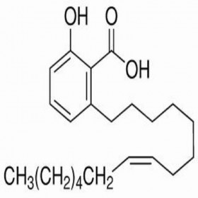 銀杏酚酸（15:1） 22910-60-7	HPLC≥98%  20mg/支標準品