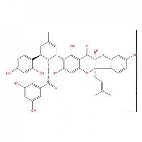 【樂美天】桑根酮C	Sanggenone C	80651-76-9	HPLC≥98% 	20mg/支分析標準品/對照品