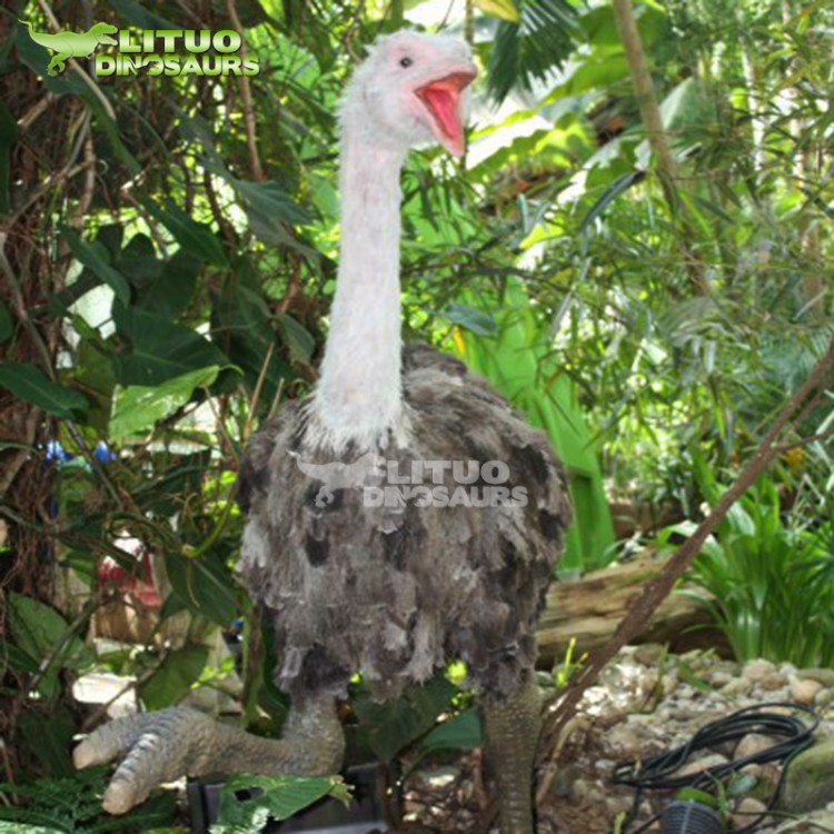 大型仿真動物鴕鳥 實比例制作 動物場館用標本 源頭廠家 支持定制