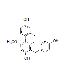 成都曼思特生物科技有限公司