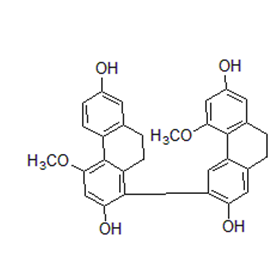 成都曼思特生物科技有限公司