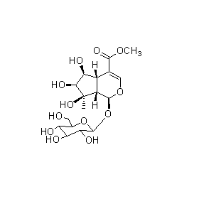 成都曼思特生物科技有限公司