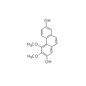 成都曼思特生物科技有限公司