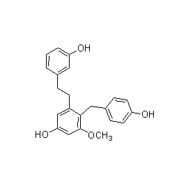 成都曼思特生物科技有限公司