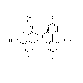 成都曼思特生物科技有限公司