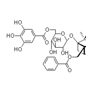 成都曼思特生物科技有限公司