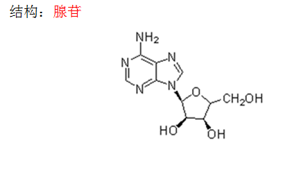 腺苷