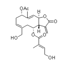 野馬追內酯C