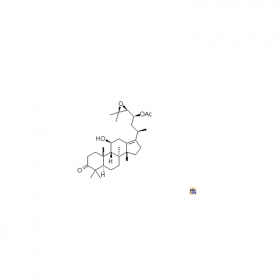 成都曼思特生物科技有限公司