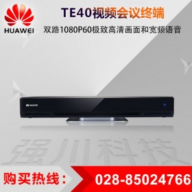 HUAWEI會議終端代理商_華為 TE40-1080P30 H.323 或 SIP 協議