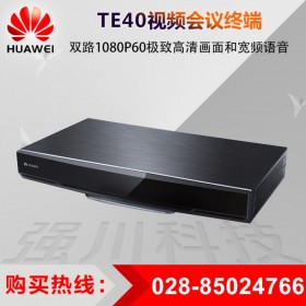 巴中華為視訊系統代理 TE40-1080p30幀購買License升級到60幀 會議室集成和快速部署