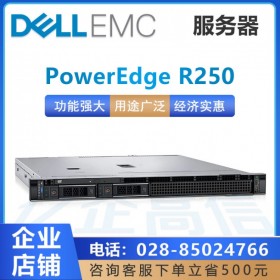 成都戴爾（DELL）服務器總代理商_PowerEdge R240升級款R250促銷