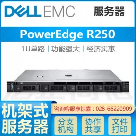 巴中戴爾服務器總代理丨DELL PowerEdge R250機架式ERP服務器