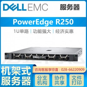 戴爾15G服務器_成都戴爾服務器總代理 PowerEdge R250 十五代新品服務器