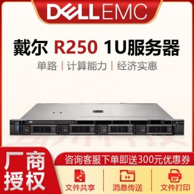 戴爾自貢內江代理商PowerEdge R250入門級服務器 1U機架式 單路服務器