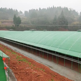 養殖大棚 蛋雞肉鴨水產養殖  鋼架質量好 農業種植畜牧養殖大棚 保溫取暖棚