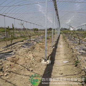 避雨棚 現代農業 鍍鋅管 遮陽保溫 避雨棚 溫室大棚