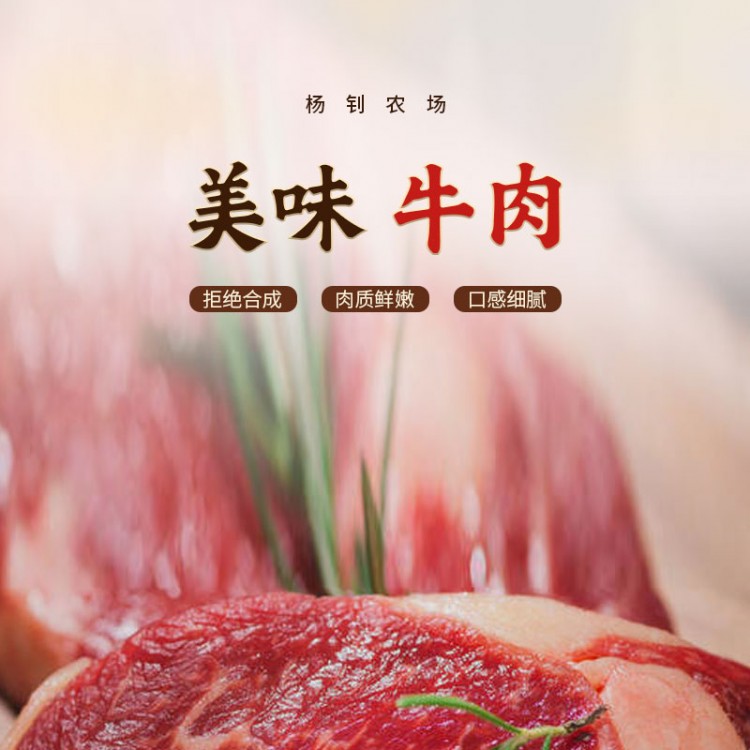 楊釗農場-牛肉_01