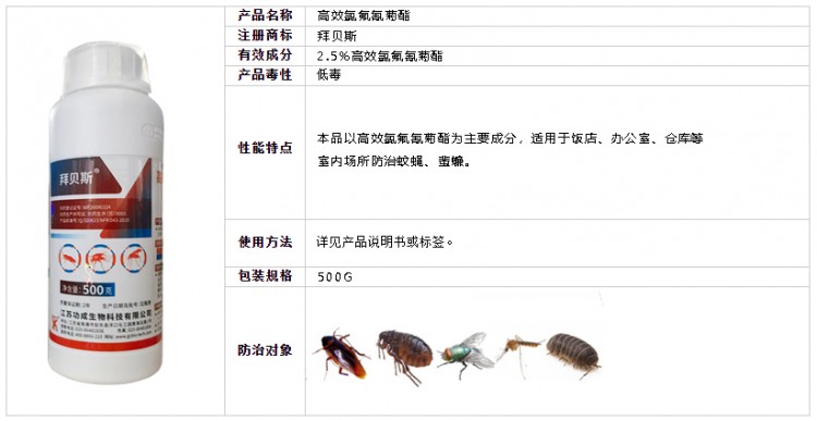 拜貝斯11