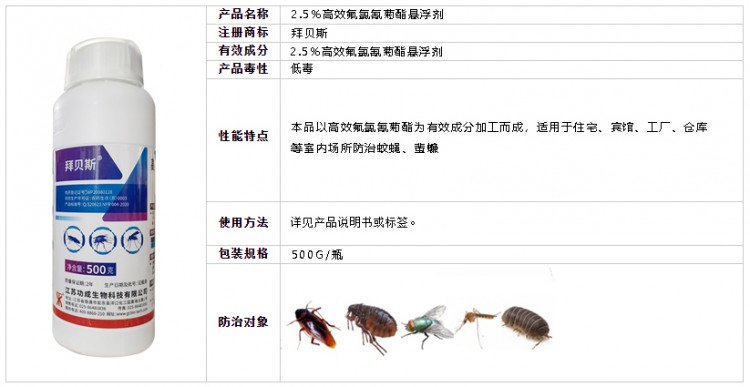 拜貝斯11