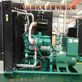 通柴300KW通柴柴油發電機組 全銅無刷柴油發電機 工廠 學校 水電工程等備用發電機 廠家定制批發