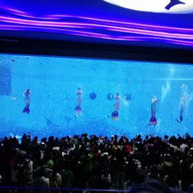 戲浪海洋館施工 水族館設(shè)計(jì) 亞克力大魚缸造景設(shè)計(jì)制作