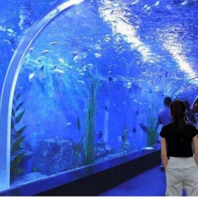 海洋館設計 水族工程免設計費 亞克力大型12米魚缸定制 戲浪海景