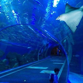 成都大魚缸定做廠家 別墅觀賞養殖大水族箱 酒店商場透明海淡水魚缸定做 異形圓柱大魚缸設計與安裝