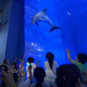 貴州戲浪海洋館設計 主題海洋餐廳酒店工程施工 大型魚缸定做 亞克力圓柱魚缸 直徑5米魚缸