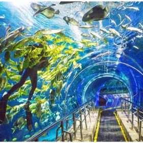 四川戲浪海洋館方案設計 水族館設計施工 海洋館工程建造