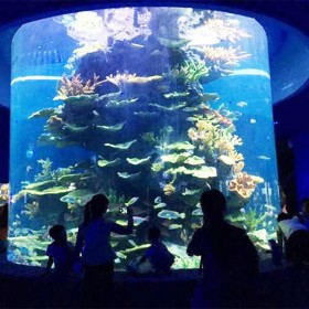 戲浪海洋館工程施工 重慶海洋館設計 四川大型亞克力魚缸定做 廠家定制