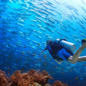 大魚缸定做 別墅大水族箱定制 海洋館設計 戲浪海景