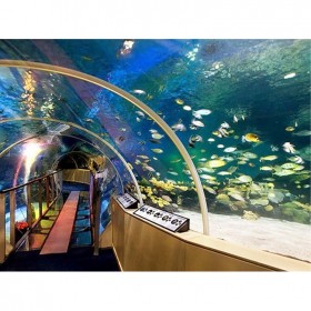 大型異形亞克力魚缸定做廠 海洋館設計 水族館改建 觀賞亞克力水族箱定制 批發