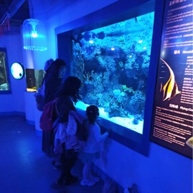 亞克力大魚缸定制 海洋館設(shè)計亞克力魚缸 承接海洋館工程施工圖紙