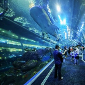 戲浪海洋館設計 水族館建造 海洋透明隧道安裝拼接 海洋餐廳設計施工 大魚缸定做