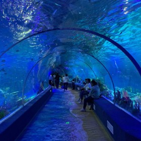 四川大型水族箱魚缸設計安裝 海洋館施工設計  海洋館運營海洋館規劃戲浪