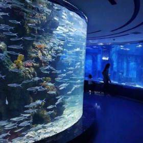 戲浪大型觀賞魚缸定做 免費(fèi)海洋館設(shè)計(jì) 水族館工程承建 透明懸空泳池設(shè)計(jì)安裝