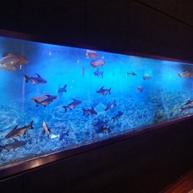 四川戲浪大型亞克力魚缸 海洋館設計與工程施工 水族館建造公司 大圓柱異形魚缸定做廠