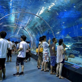 海洋館設計 海洋隧道施工 水族館改建 網紅懸空透明泳池設計安裝