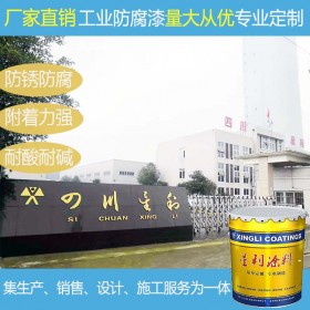 廠家直銷鋼結(jié)構(gòu)件裝飾抗?jié)B透防腐涂料儲罐隔熱保溫防腐涂料