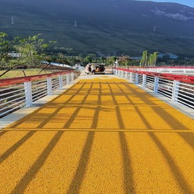 重慶 彩色生態透水地坪 無砂透水混凝土 車行道透水路面 詢價