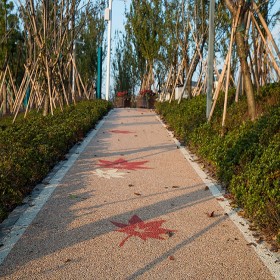 喀什市 混凝土透水路 露石子透水街道 生態透水地坪 電話咨詢