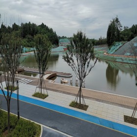 銅川市 彩色地面透水 透水混凝土 透水地坪加強劑 材料